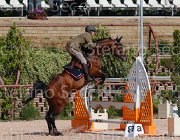 CRISTOFOLETTI AMICO MIO CampITA2013- S5 9369 : AMICO MIO, CRISTOFOLETTI ROBERTO, Campionati Italiani 2013, Cattolica, Horse Riviera Resort, foto di Stefano Secchi ©